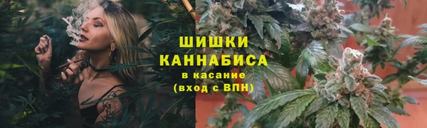 хмурый Заводоуковск