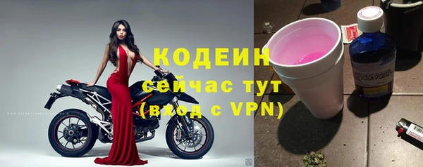 хмурый Заводоуковск