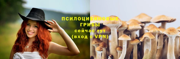 хмурый Заводоуковск